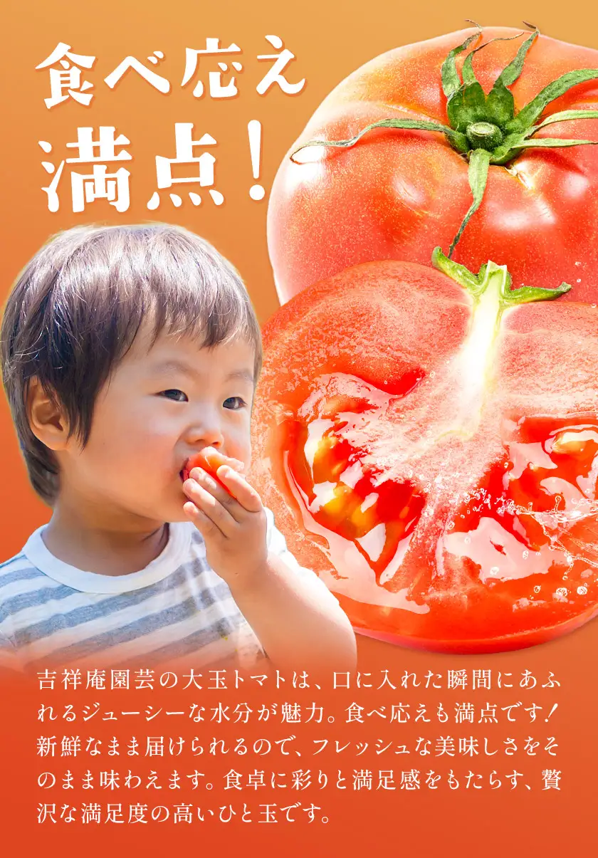 【8回定期便】訳あり トマト 大玉 大玉トマト わけあり 2kg ×8回 吉祥庵園芸《11月上旬-6月上旬頃出荷》鹿児島県 さつま町 送料無料 野菜 トマト お取り寄せ