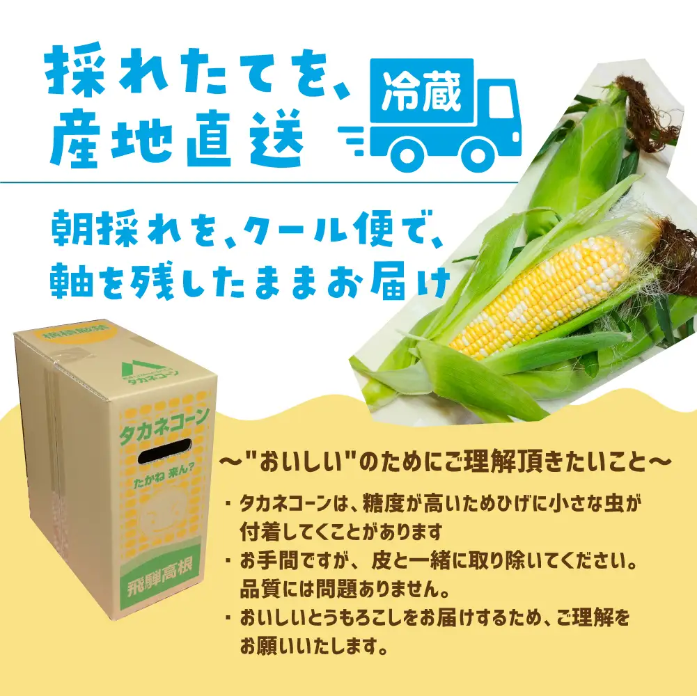 【先行予約】  幻のとうもろこし タカネコーン 6本入 とうもろこし トウモロコシ コーン 糖度 甘い 限定 たかねコーン 飛騨高山産 夏 野菜 飛騨 岐阜 数量限定  BA014