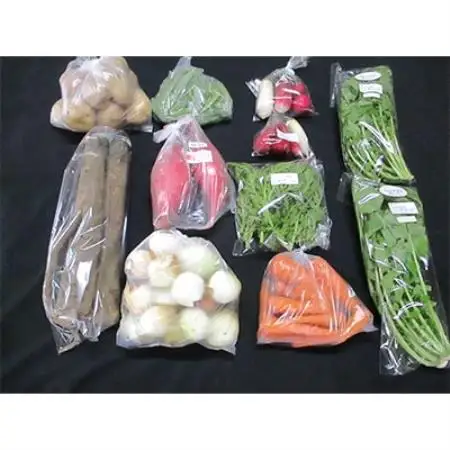 【毎月定期便】【フードロス対応・規格外野菜利用】　オーガニック野菜　シェフSセット全12回【配送不可地域：離島・北海道・沖縄県・四国・九州】【4003730】