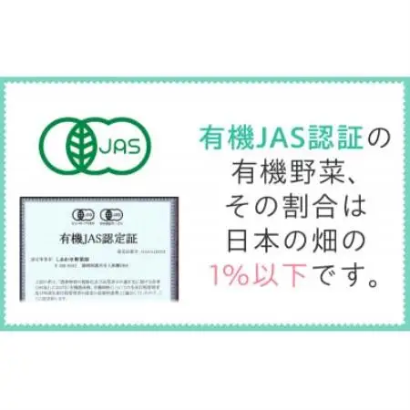 【毎月定期便】有機 野菜　Lセット　オーガニック野菜 セット　有機JAS認証　しあわせ野菜畑全6回【配送不可地域：離島・北海道・沖縄県・四国・九州】【4013498】
