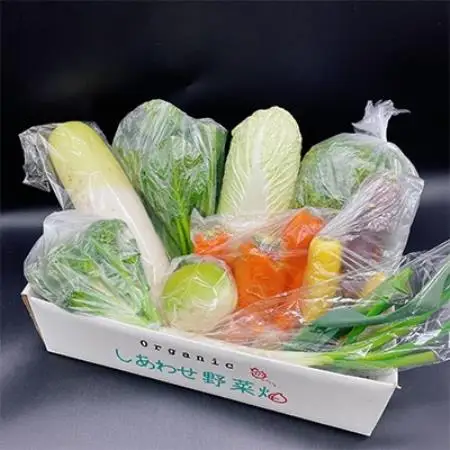 【毎月定期便】【フードロス対応・規格外野菜利用】　有機野菜　シェフMセット　オーガニック野菜全12回【配送不可地域：離島・北海道・沖縄県・四国・九州】【4013501】