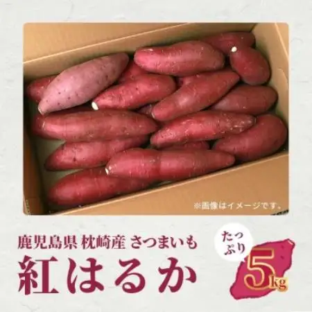 紅はるか ＜5kg＞ 野菜 サツマイモ さつまいも 鹿児島県 A6-16【配送不可地域：離島】【1167022】