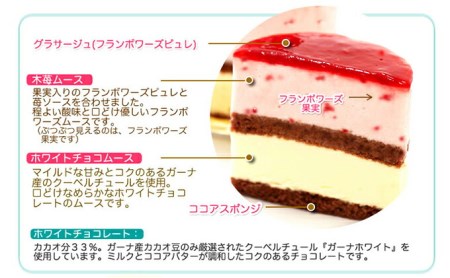 甘酸っぱい♪木苺ムースケーキ『リップショコラ』　北海道新ひだか町のオリジナルケーキ