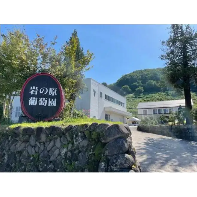 岩の原葡萄園内ワイナリーレストラン 金石の音 ランチ・ディナー共通 お食事券 1名様分食事券 ランチ ディナー コース ワイン くびき牛 ステーキ お食事券 ランチ券 ギフト券 チケット 昼食 観光 旅行 トラベル 新潟 上越