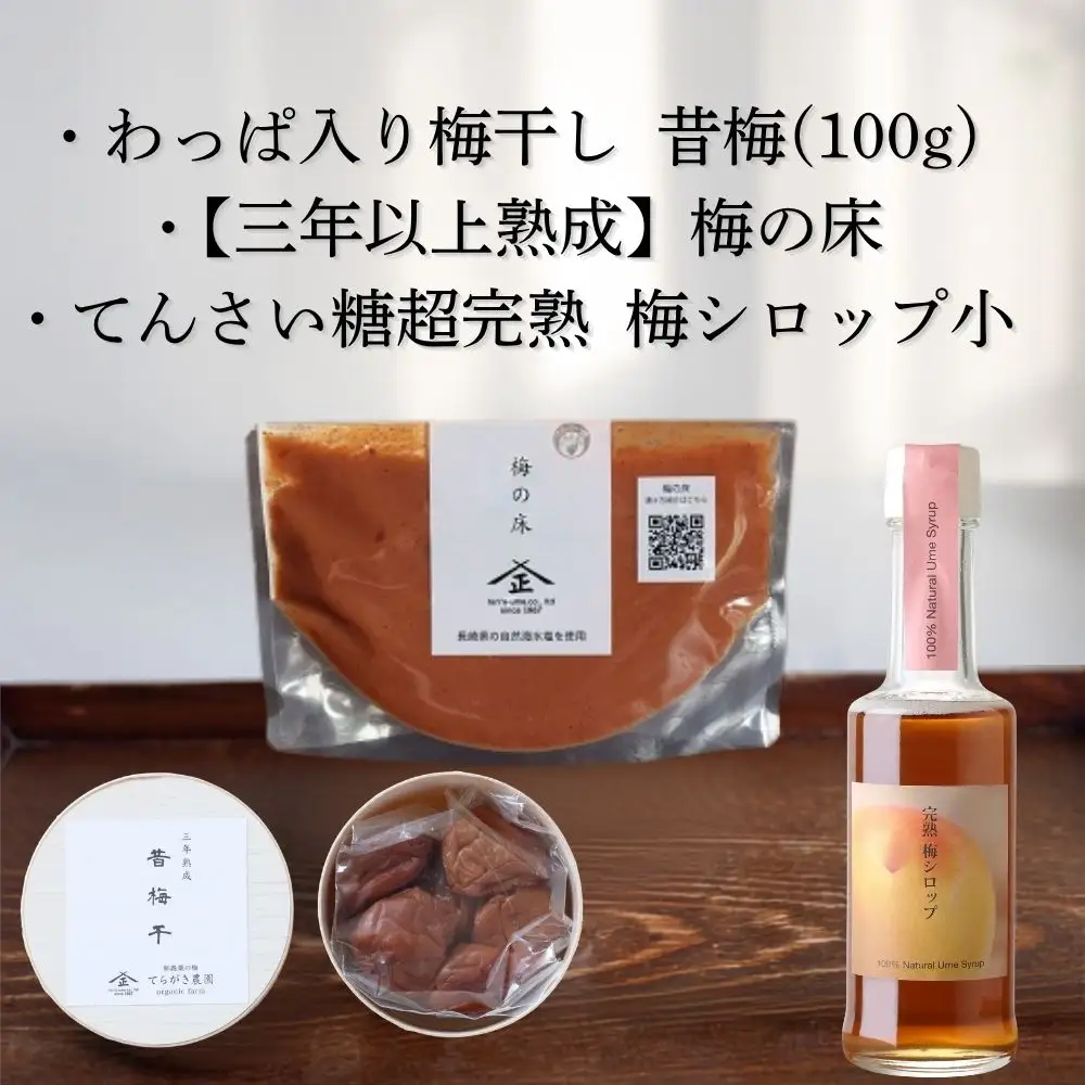 てらがき農園 農園おすすめ梅シロップセット ｜ 梅干し 梅干 うめぼし 和歌山県 みなべ町 詰め合わせ セット ギフト 贈り物 プレゼント 【trgk007】