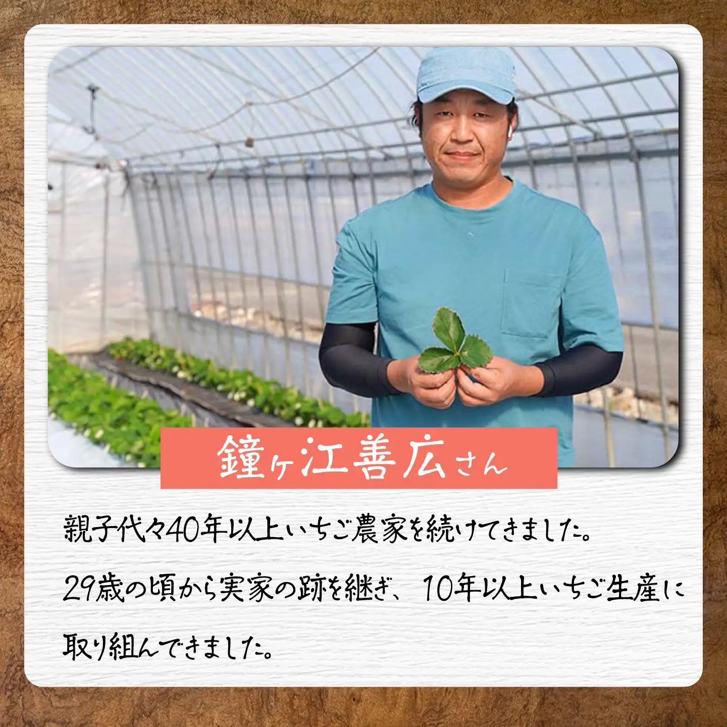 【先行予約 2027年1月〜発送】さがほのか150g×6パック 【鐘ヶ江農園】[IBH021]