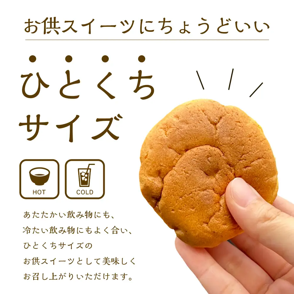 佐賀ブッセ 10個入り（イチゴ・デコポン 各5個）焼き菓子 佐賀県 鹿島市 A-236
