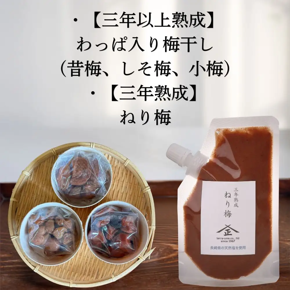 てらがき農園 農園大人気♪ おすすめ梅シロップセット ｜ 梅干し 梅干 うめぼし 和歌山県 みなべ町 詰め合わせ セット 【trgk009】