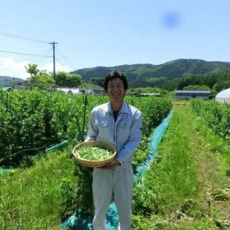 【甘い粉質系】かぼちゃ(6kg)栽培期間中農薬、動物性化成等不使用 遠野もぐもぐカントリー【1765594】