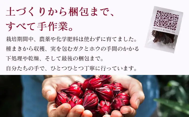 ＜ハイビスカスローゼルティー 1袋（約2.5g）＞『1か月以内に順次出荷予定』お茶 ハーブティー ノンカフェイン ハーブ茶 リラックスティー ホットティー 紅茶 ローゼルティー 国産 ひさしげ農園 愛媛県 西予市【常温】MHS0034