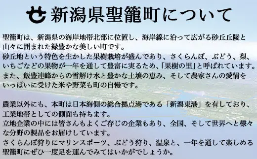 【先行予約 12月発送】杵つき 生 切り餅 8枚入･6パックセット（新潟県聖籠町産こがねもち使用）