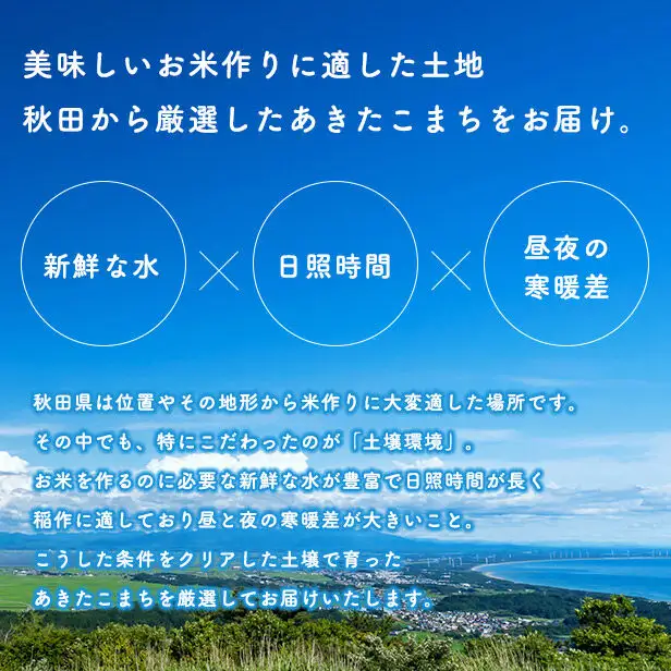 《定期便11ヶ月》【白米】あきたこまち 5kg 秋田県産 令和7年産  こまちライン 秋田県 大仙市産