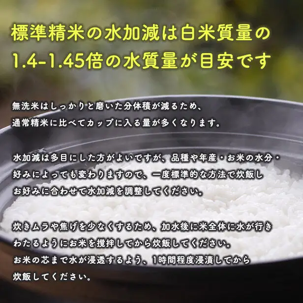 【無洗米】備蓄米 あきたこまち 5kg(2.5kg×2袋) 秋田県産 令和7年産  こまちライン 災害時 緊急時の備えに 秋田県 大仙市産
