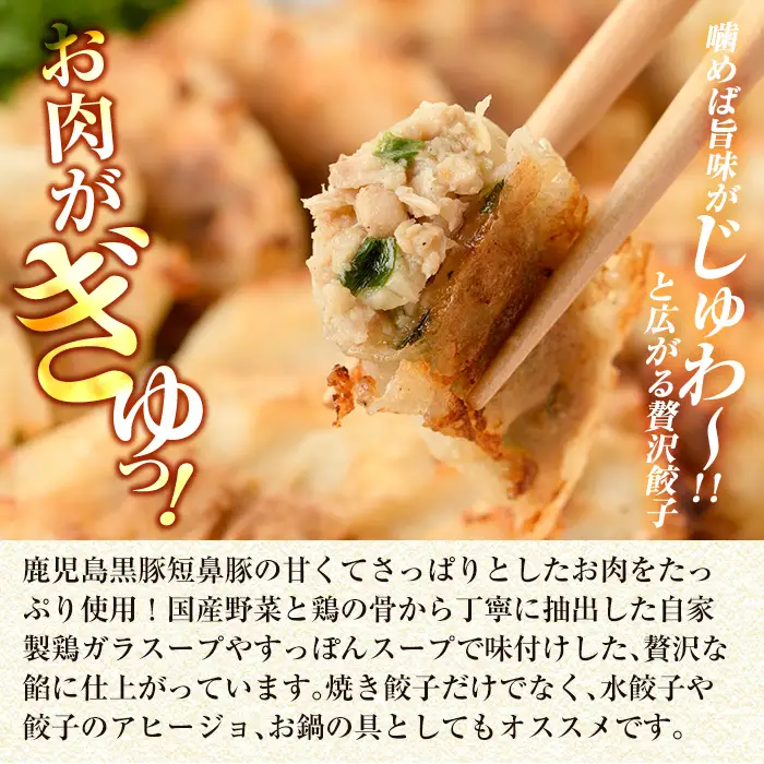 a1112 鹿児島黒豚「短鼻豚」無添加餃子 計24個(12個入×2パック)【鹿児島ますや】姶良市 国産 豚肉 野菜 ぎょうざ ギョーザ ギョウザ 惣菜 おかず 冷凍 安心
