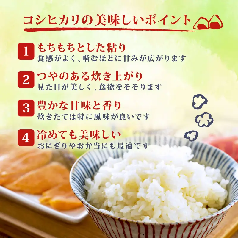 【コンテスト入賞米】 新米 特別栽培米 コシヒカリ 5kg  特栽米 新潟県産コシヒカリ 新発田産 新潟 米 アグリ中俵 新潟県 新発田市 【令和8年産 先行予約 2026年11月以降順次発送 】 nakatawaraKH007