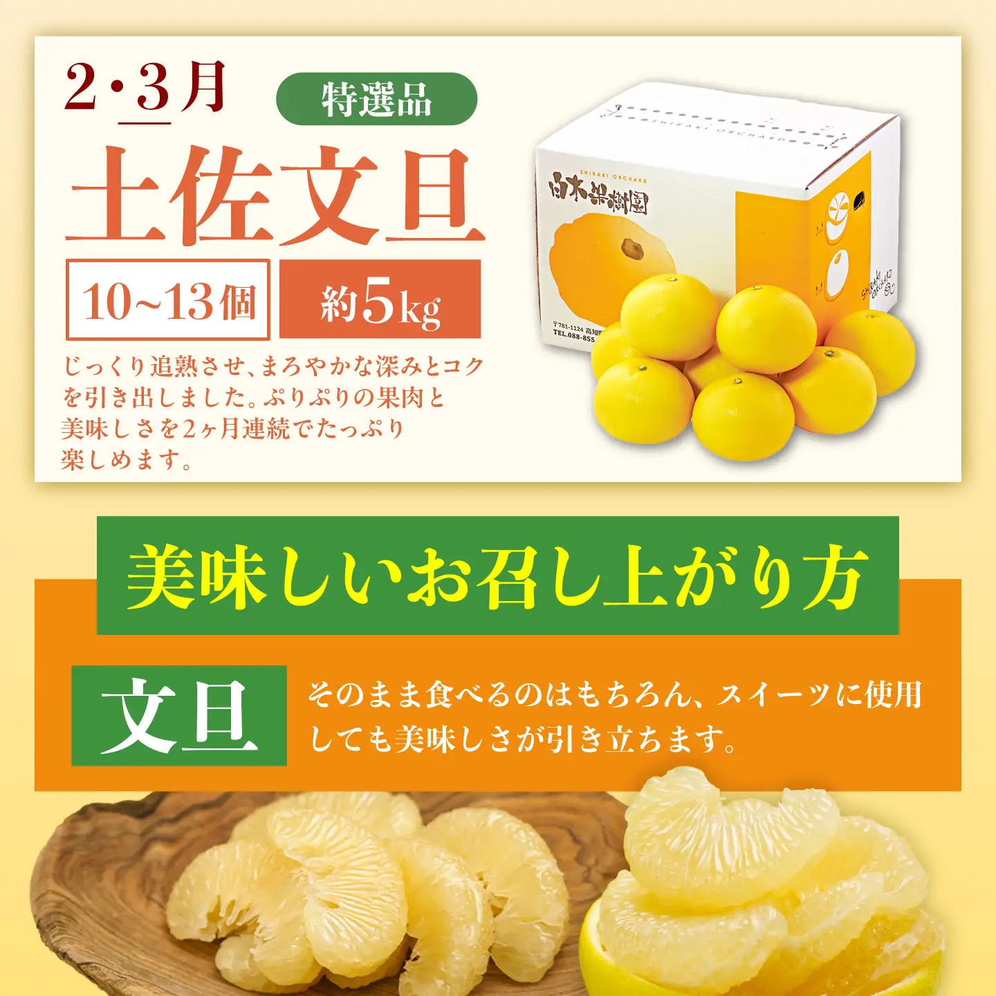 【4回定期便】バラエティ文旦 贅沢コース〈水晶文旦・温室文旦・贈答品 土佐文旦 〉/ 文旦 ぶんたん ブンタン 土佐文旦 水晶文旦 温室文旦 柑橘 フルーツ 果物 くだもの 定期便【白木果樹園】[BQAI061]