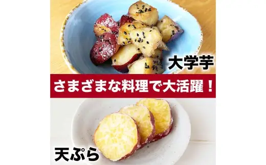 紅はるか 約5kg （ 9 ～ 37個 ） さつまいも サツマイモ 野菜 いも イモ やさい 焼き芋 芋 スイーツ 国産 熊本県産 【 2027年2月上旬から6月下旬発送予定 】