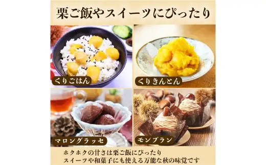 生栗 クリ 大粒 2L以上 約3kg くり 栗 栗ご飯 秋 旬 果物 くだもの 果実 国産 熊本県産 【 2026年9月上旬から10月上旬発送予定 】