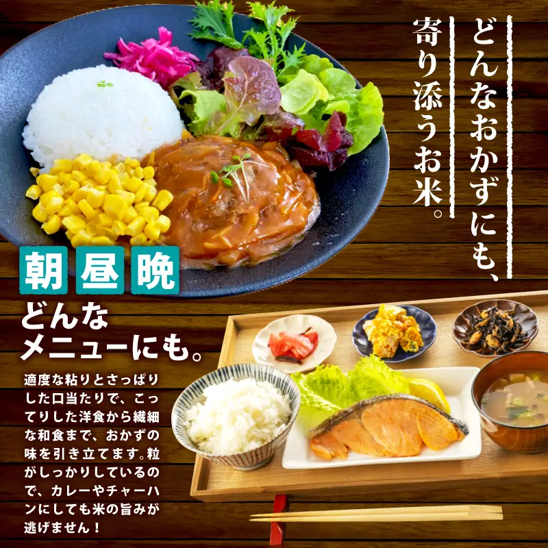 【令和8年産】 新潟県産 こしいぶき 10kg 5kg×2袋 単品 新発田産 新潟 ふるさと納税 米 お米 アグリ中俵 白米 米 お米 こめ コメ ライス ご飯 ごはん 美味しい 贈り物 国産 新潟県 新発田市 お取り寄せ 産地直送  【令和8年産 先行予約 2026年11月以降順次発送】nakatawaraKI008_01