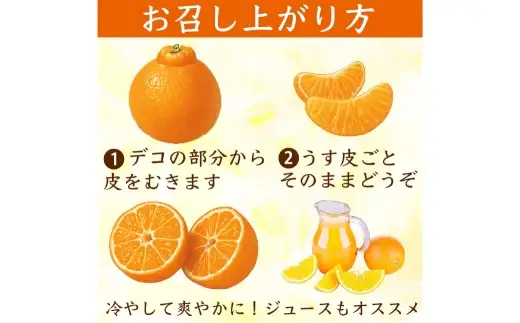 不知火 （ デコポン同品種 ） 12 ～ 24玉 約5kg デコポン 柑橘系 柑橘類 柑橘 果物 くだもの フルーツ 果実 果汁 果肉 国産 熊本県産 【 2027年2月上旬から4月上旬発送予定 】
