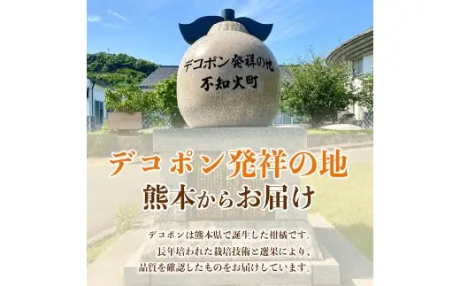 デコポン 6 ～ 13玉 約3kg 柑橘系 柑橘類 柑橘 果物 くだもの フルーツ 果実 果汁 果肉 国産 熊本県産 【 2026年12月上旬から2027年4月上旬発送予定 】