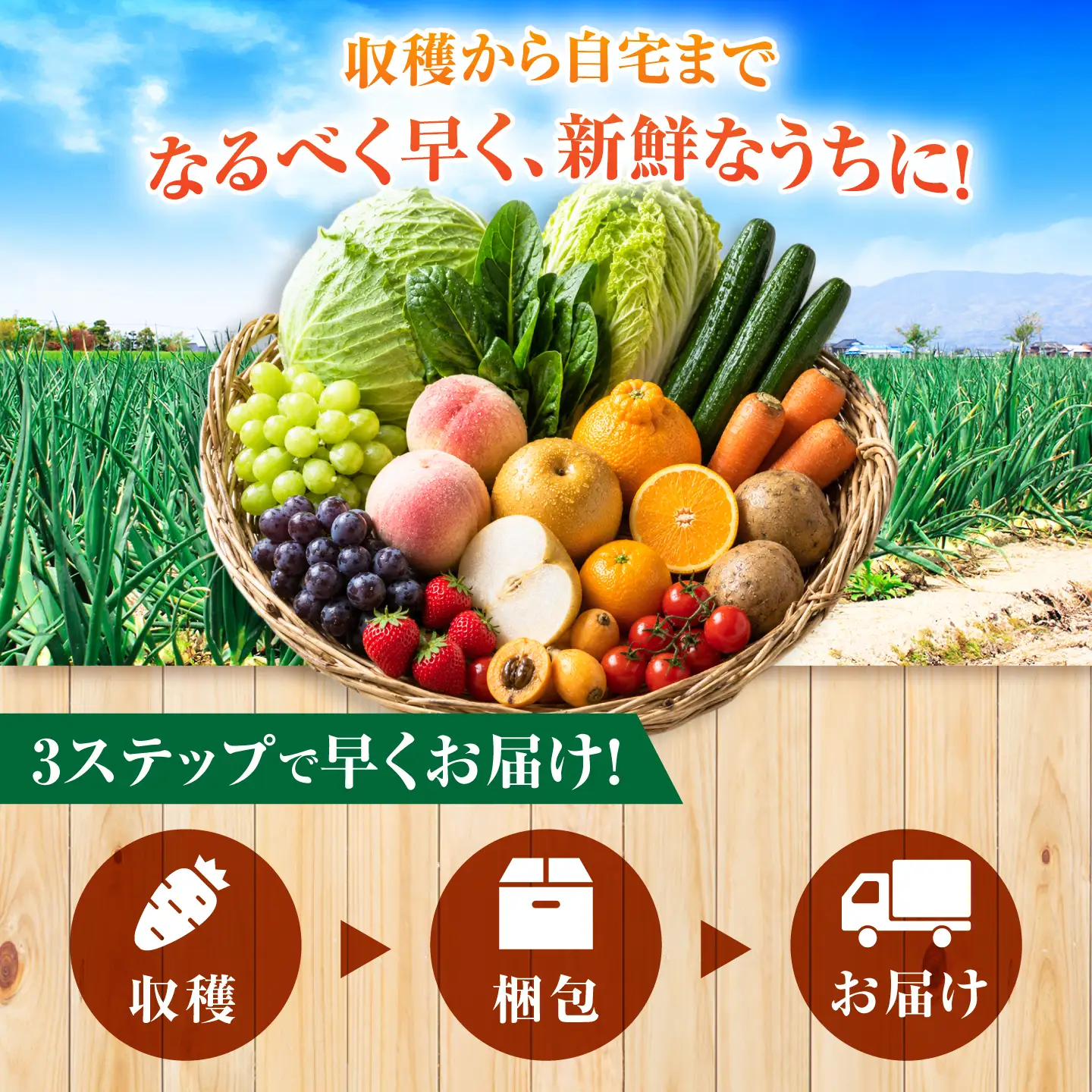 【6回定期便】【産地直送】長崎県諫早産 旬の野菜＆フルーツ詰め合わせ 9・11品目程度 季節のおまかせセット / 野菜 フルーツ 果物 セット 詰め合わせ 旬野菜セット 旬のフルーツ 旬 食べ比べ 産地直送 健康 / 諫早市 / 肥前グローカル株式会社[AHDI017]