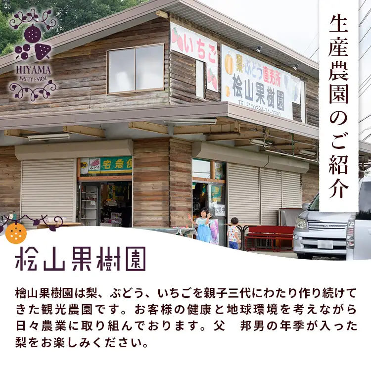 梨 食べ比べ 約3kg 3種類 梨