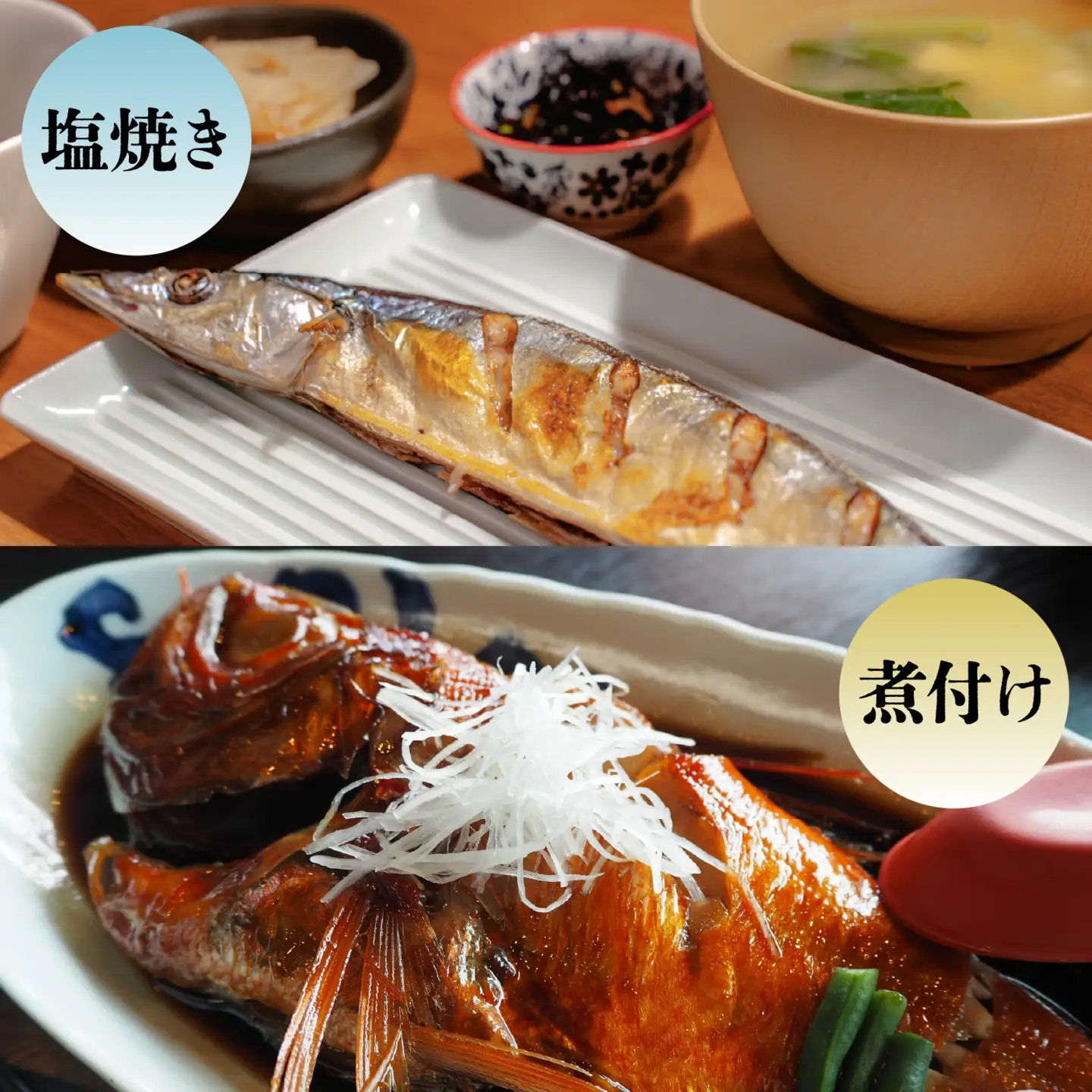 若狭湾鮮魚セットおまかせ2kg以上（4～5魚種）【11月発送】