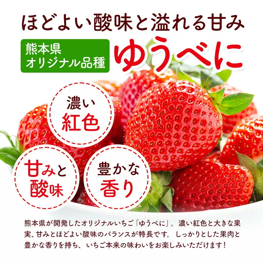 冷凍いちご ゆうべに 3kg 福本農園