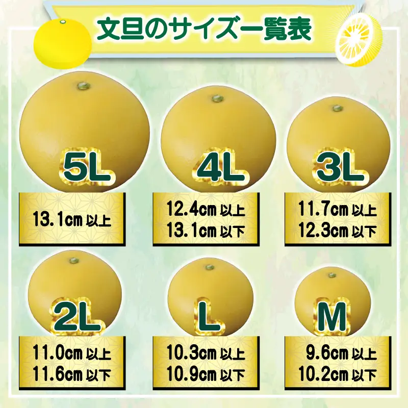 極み 土佐文旦 家庭用 10kg 文旦