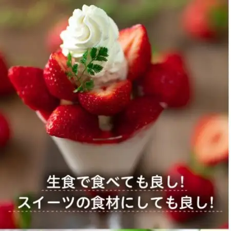 【2027年発送先行受付】フルーツ専門店が選んだ「あまおう苺」春250g×2パック(大野城市)【配送不可地域：離島】【1750231】