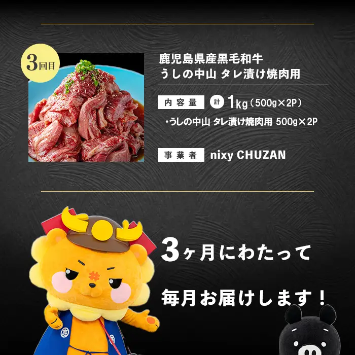 【定期便全3回】鹿児島県産黒毛和牛 焼肉 食べ比べコース！志布志うんまか定期便 牛肉 赤身 肩ロース 焼き肉 炒め物 味付け肉 たれ漬け BBQ 国産 肉 バラエティ セット t0070-011