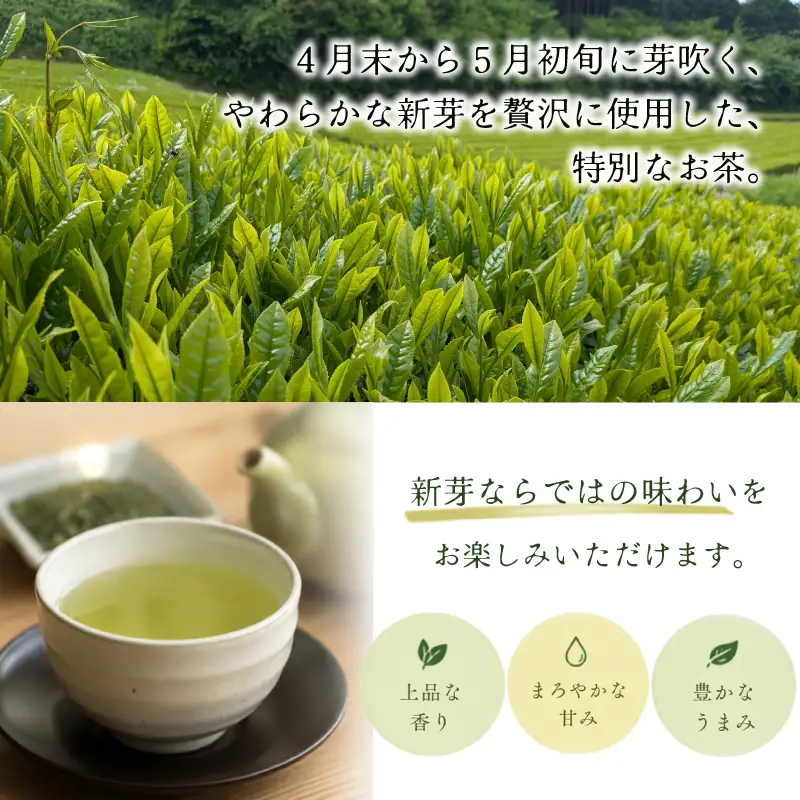 【ギフト箱入】静岡産 特煎茶 100g 1袋 国産 緑茶