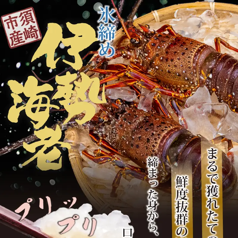 【伊勢海老】 氷締め伊勢海老 1kg以上