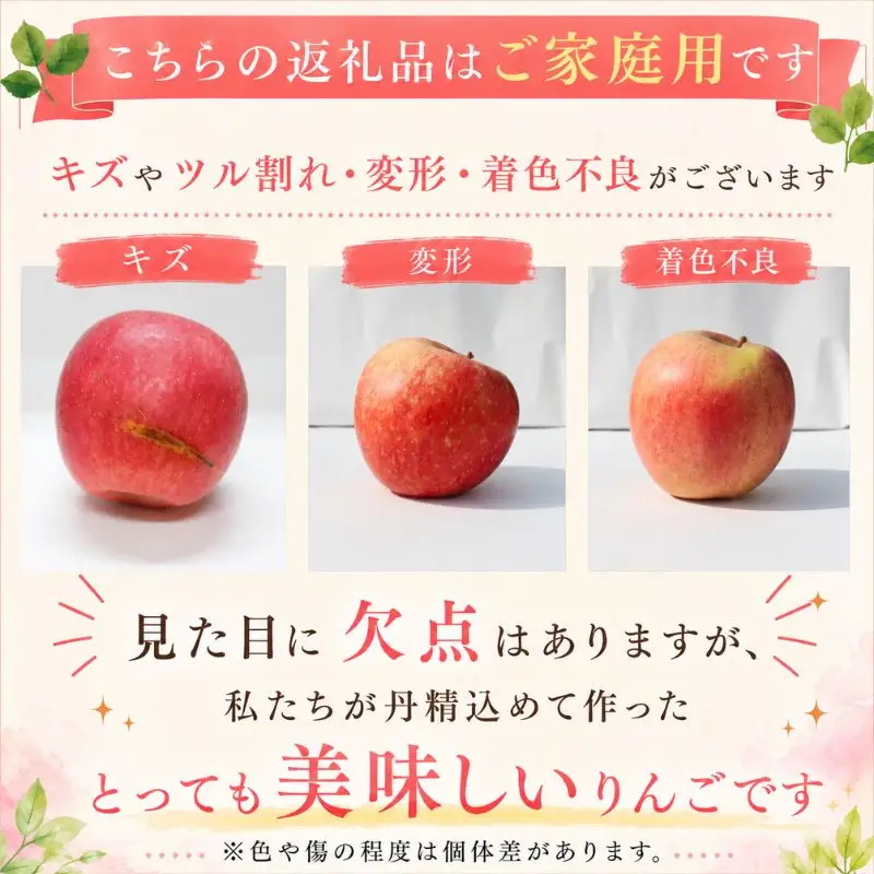 【期間限定】 りんご はるか 3kg 12月上旬~発送 訳あり 先行予約 ふじむら農園 fujimura007