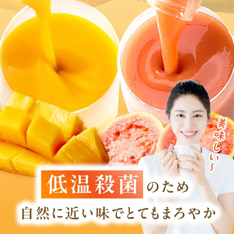 とろーり果実感！ハーフボトル グァバ・マンゴードリンク2本セット(300ml×各1本)_K021-028