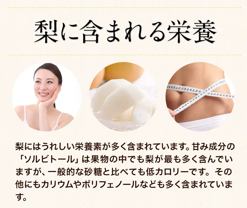 梨 荒尾梨 1kg 旬の品種