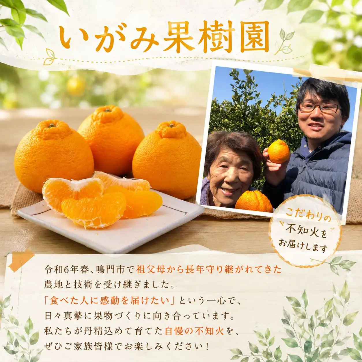 不知火 約2.5kg 4L みかん しらぬい デコポン 贈答用