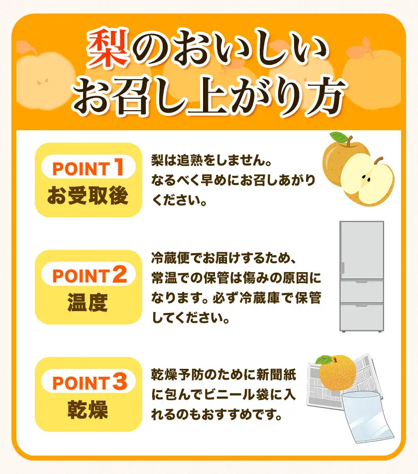 梨 くまもと梨 1kg 品種 熊本県産