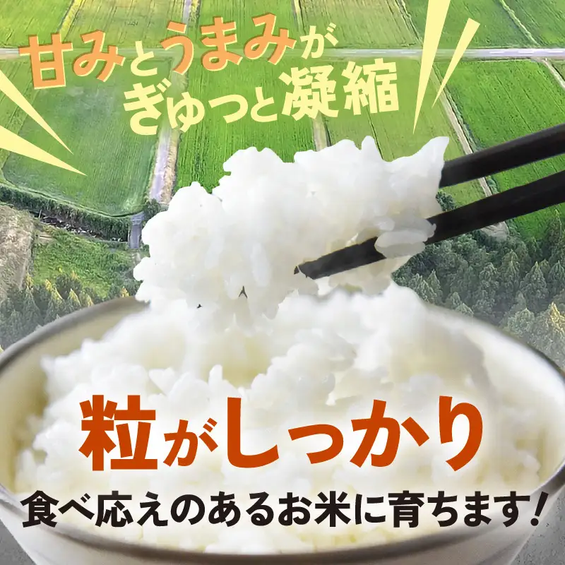 【先行予約】【令和8年産】定期便 ≪12ヶ月連続お届け≫ 自然栽培米コシヒカリ 無洗米5kg×12回（計60kg） ＜温度と湿度を常時管理し新鮮米を出荷！＞/ 米 白米 自然の力 高品質 鮮度抜群 ブランド米 福井県 あわら市産 スマート農業 ※2026年10月下旬以降順次発送 [aw071-o007]