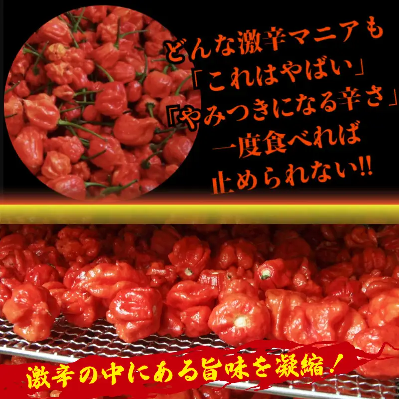 唐辛子 キャロライナリーパー 1本 10g AWA Devil,s pepper 粉末 激辛 阿波市産 
