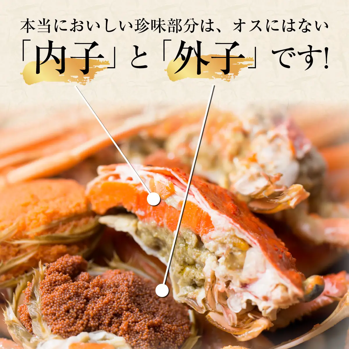 せいこがに甲羅盛り4個入（合計360～440g）[B-065048]