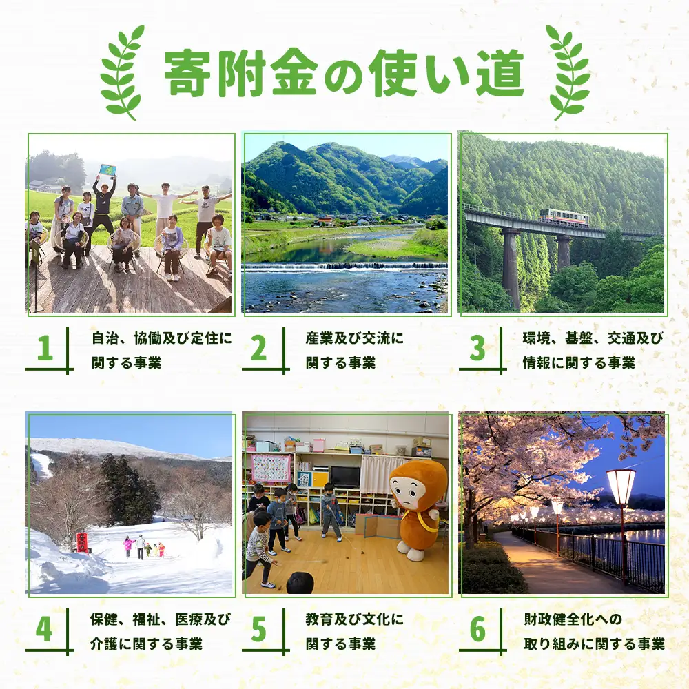返礼品なしの寄附（寄付金額 3,000円）広島県庄原市の未来の為の応援寄附