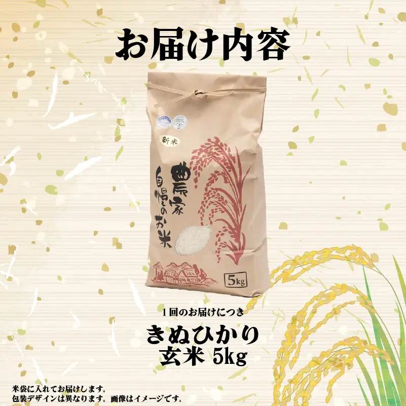 【先行予約】令和8年産 新米 きぬひかり 5kg 定期便 12ヶ月 玄米 米 
