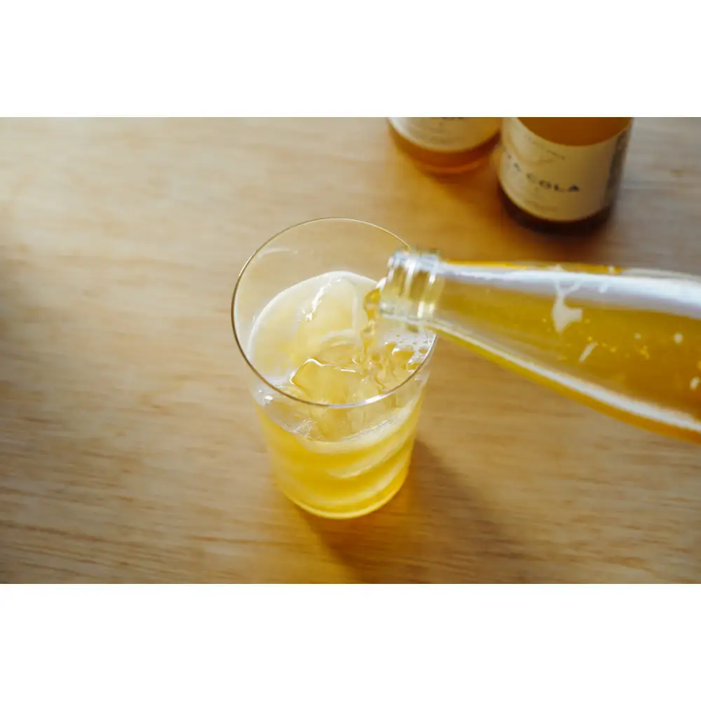 【テレビで紹介】知多コーラ 200ml 24本 愛知 知多 クラフトコーラ コーラ 炭酸飲料 ドリンク 愛知県産 レモン みかん 人気 おすすめ 大府市