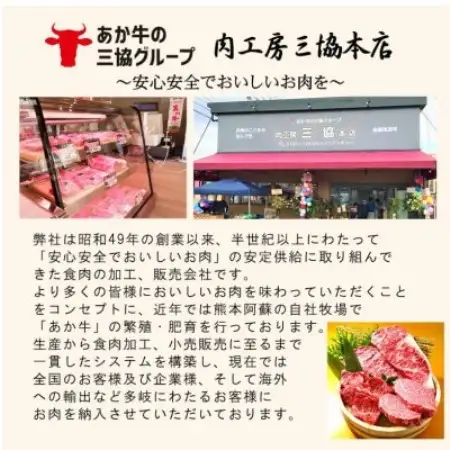 熊本和牛あか牛ザブトン 480g セット(あか牛ザブトン120g×4 あか牛のたれ200ml)益城町【配送不可地域：離島】【1770620】