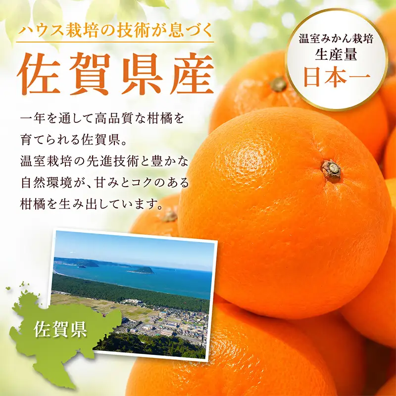 『先行予約』【令和9年7月上旬より順次発送】【全国出荷量1位】佐賀県ハウスみかん 5kg 高級甘熟みかん 果物フルーツ 柑橘