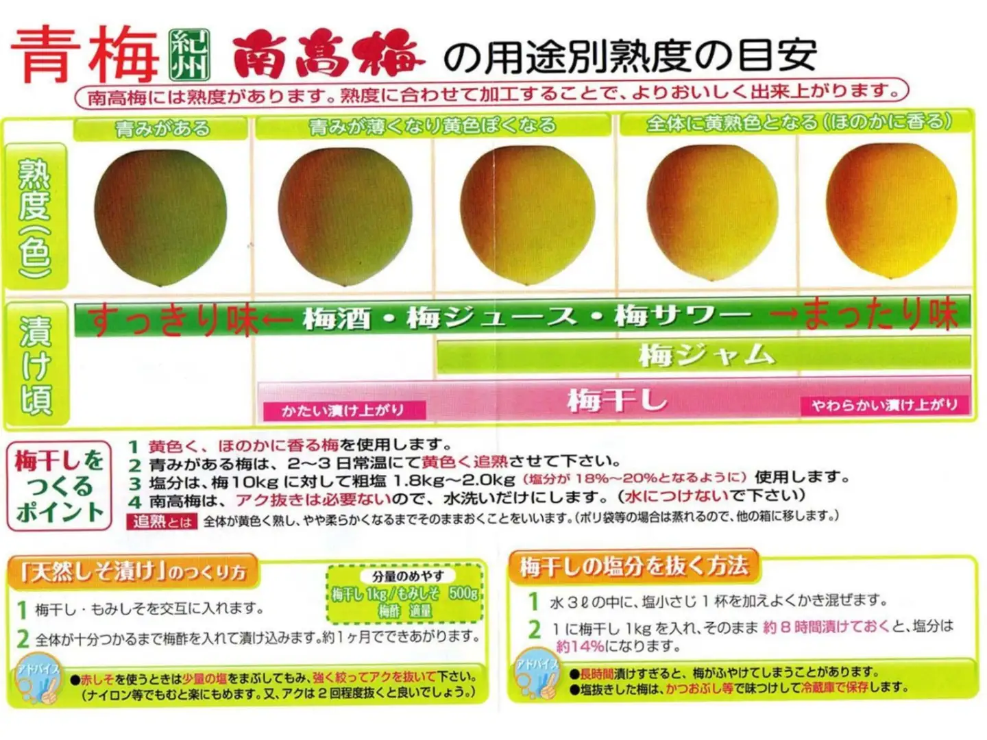 ［梅干・梅酒用］大玉4Lサイズ約2kg 熟南高 生梅 ＜2027年6月上旬～7月中旬発送予定＞［ART21］
