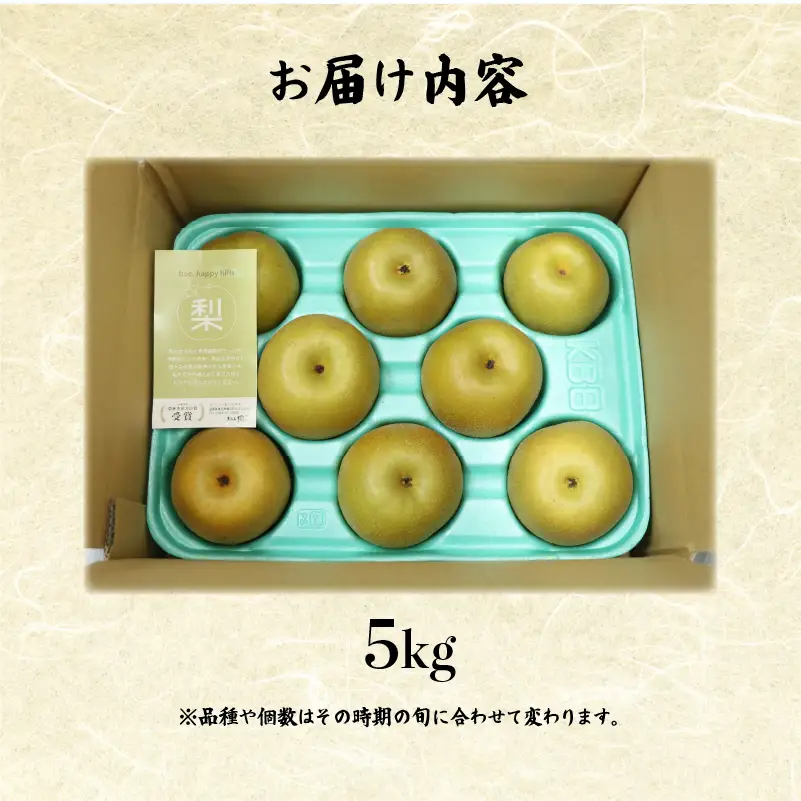 【期間限定】 梨  5kg 品種 おまかせ 8月下旬～9月下旬発送 岡喜農園 令和8年産 数量限定 なし ナシ 幸水 豊水 2026年産 フルーツ 果実 くだもの
