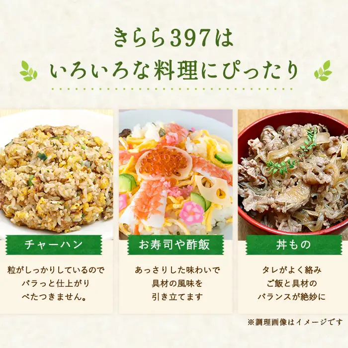 新米先行予約 精米 きらら397 5kg 北海道米 コメ 北海道 士別市 【士別農園】B7120-08